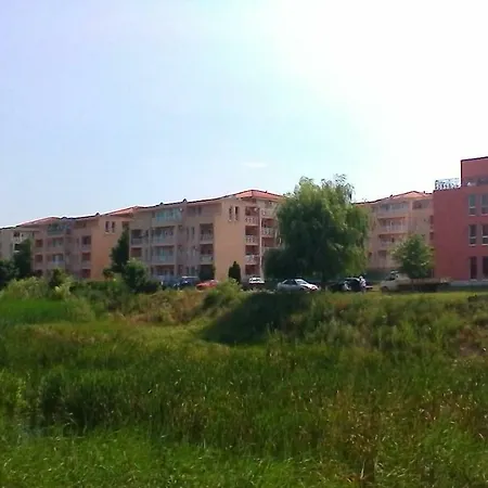Sunny Day 6 *